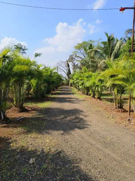 Amar Farm 🌳 Lawn & Garden