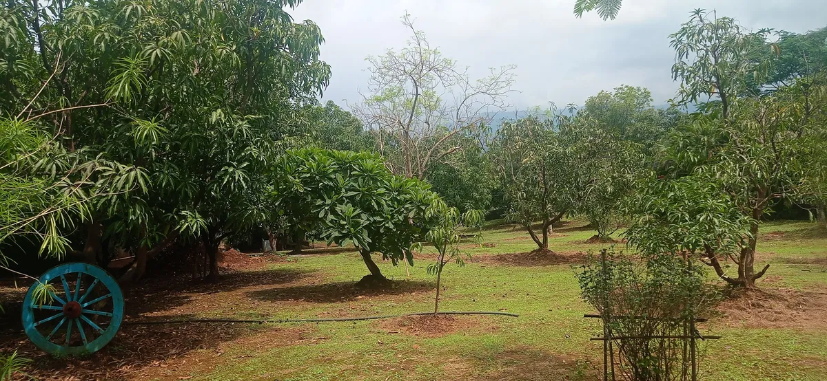 Deshpande Farms 🌳 Lawn & Garden