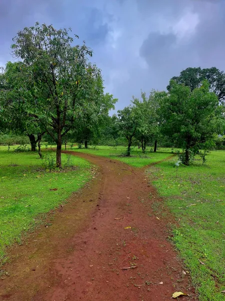 Jetavan Farms 🌳 Lawn & Garden