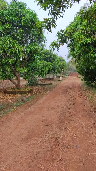 Negandhi Farm 🌳 Lawn & Garden