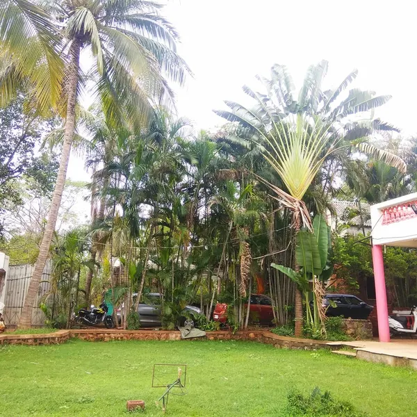 Palande Farmhouse 🌳 Lawn & Garden
