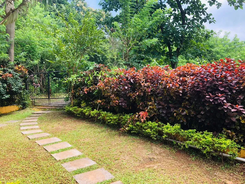 Riversong - Farmhouse 🌳 Lawn & Garden