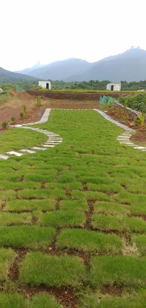 Fortune Farm 🌳 Lawn & Garden